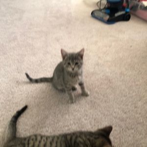 Meet your Posher, Dana